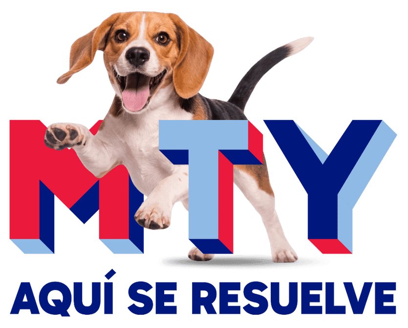 Perro feliz - Patitas Regias
